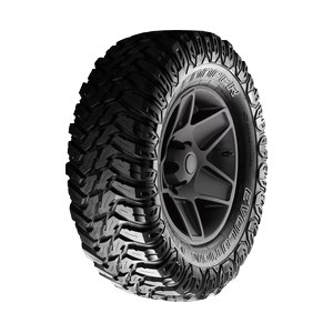 Cooper Evolution MTT Por